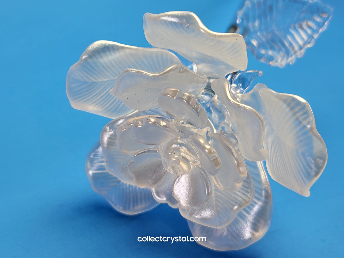 Waterford Crystal FLEUROLOGY 2010 White Rose 14 1/2" mint in Box # 1050336