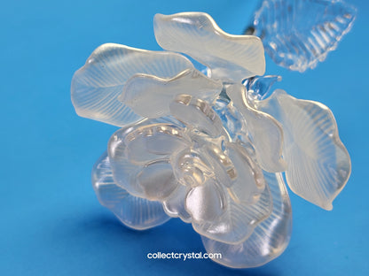 Waterford Crystal FLEUROLOGY 2010 White Rose 14 1/2" mint in Box # 1050336