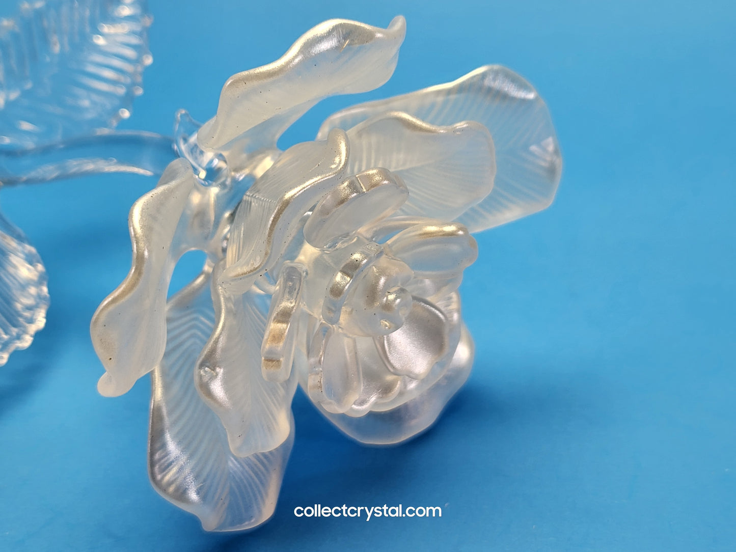 Waterford Crystal FLEUROLOGY 2010 White Rose 14 1/2" mint in Box # 1050336