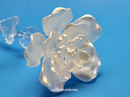 Waterford Crystal FLEUROLOGY 2010 White Rose 14 1/2" mint in Box # 1050336