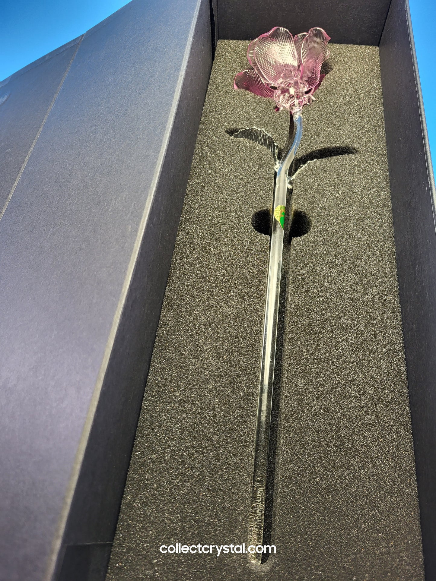 Waterford Crystal FLEUROLOGY 2013 Lavender Rose 14 1/2" mint in Box # 40007309