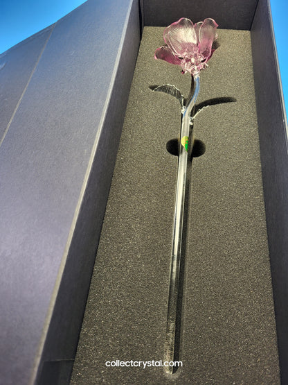Waterford Crystal FLEUROLOGY 2013 Lavender Rose 14 1/2" mint in Box # 40007309