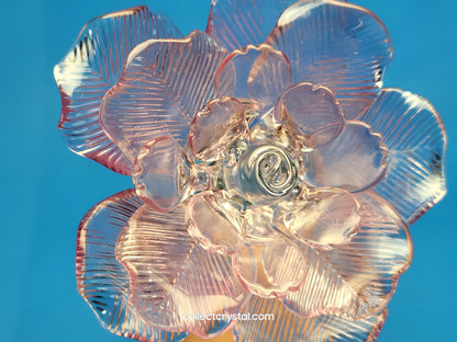 Waterford Crystal FLEUROLOGY 2013 Lavender Rose 14 1/2" mint in Box # 40007309