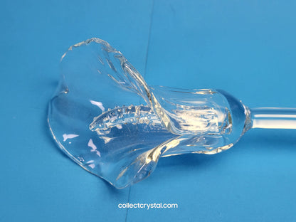 Waterford Crystal 2010 Fleurology Calla Lily Flower 15" Sculpture MIB # 164562