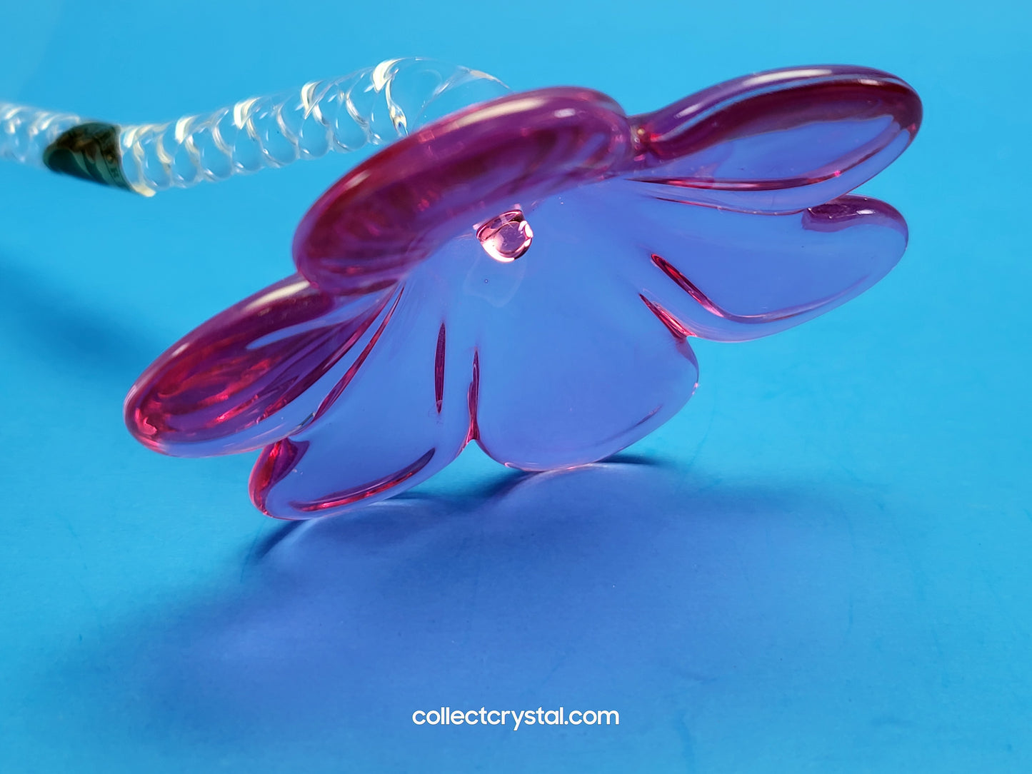 WATERFORD 2015 CRYSTAL FLEUROLOGY Pink PANSY FLOWER 11” Sculpture # 40030400