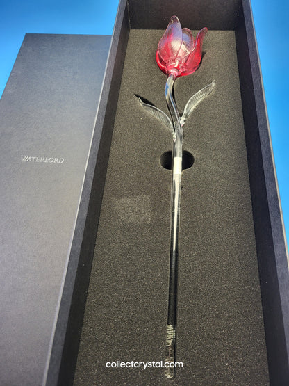 WATERFORD Crystal FLEUROLOGY 15" 2020 PINK TULIP - Sculptured Flower - # 1056562