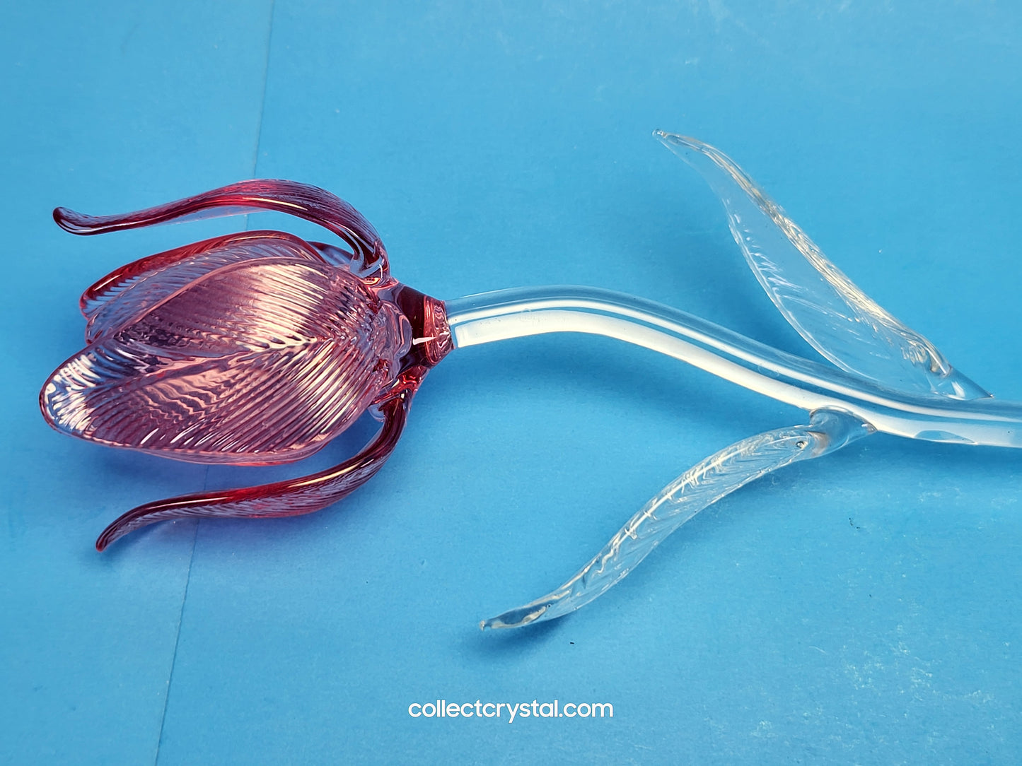 WATERFORD Crystal FLEUROLOGY 15" 2020 PINK TULIP - Sculptured Flower - # 1056562