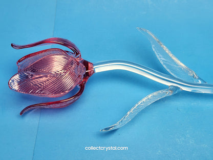 WATERFORD Crystal FLEUROLOGY 15" 2020 PINK TULIP - Sculptured Flower - # 1056562