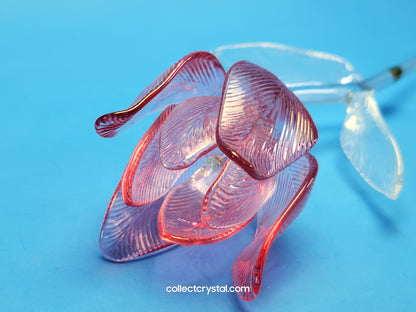 WATERFORD Crystal FLEUROLOGY 15" 2020 PINK TULIP - Sculptured Flower - # 1056562