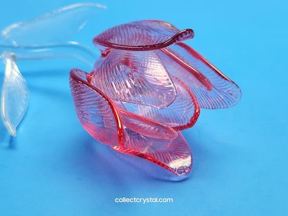 WATERFORD Crystal FLEUROLOGY 15" 2020 PINK TULIP - Sculptured Flower - # 1056562