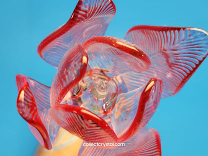 WATERFORD Crystal FLEUROLOGY 15" 2020 PINK TULIP - Sculptured Flower - # 1056562