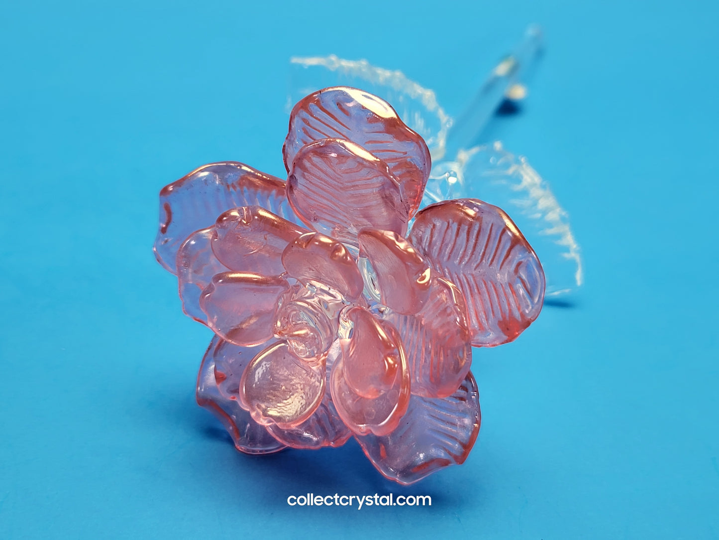 Waterford 2021 Fleurology small pink 8" long stem rose Flower # 1054996