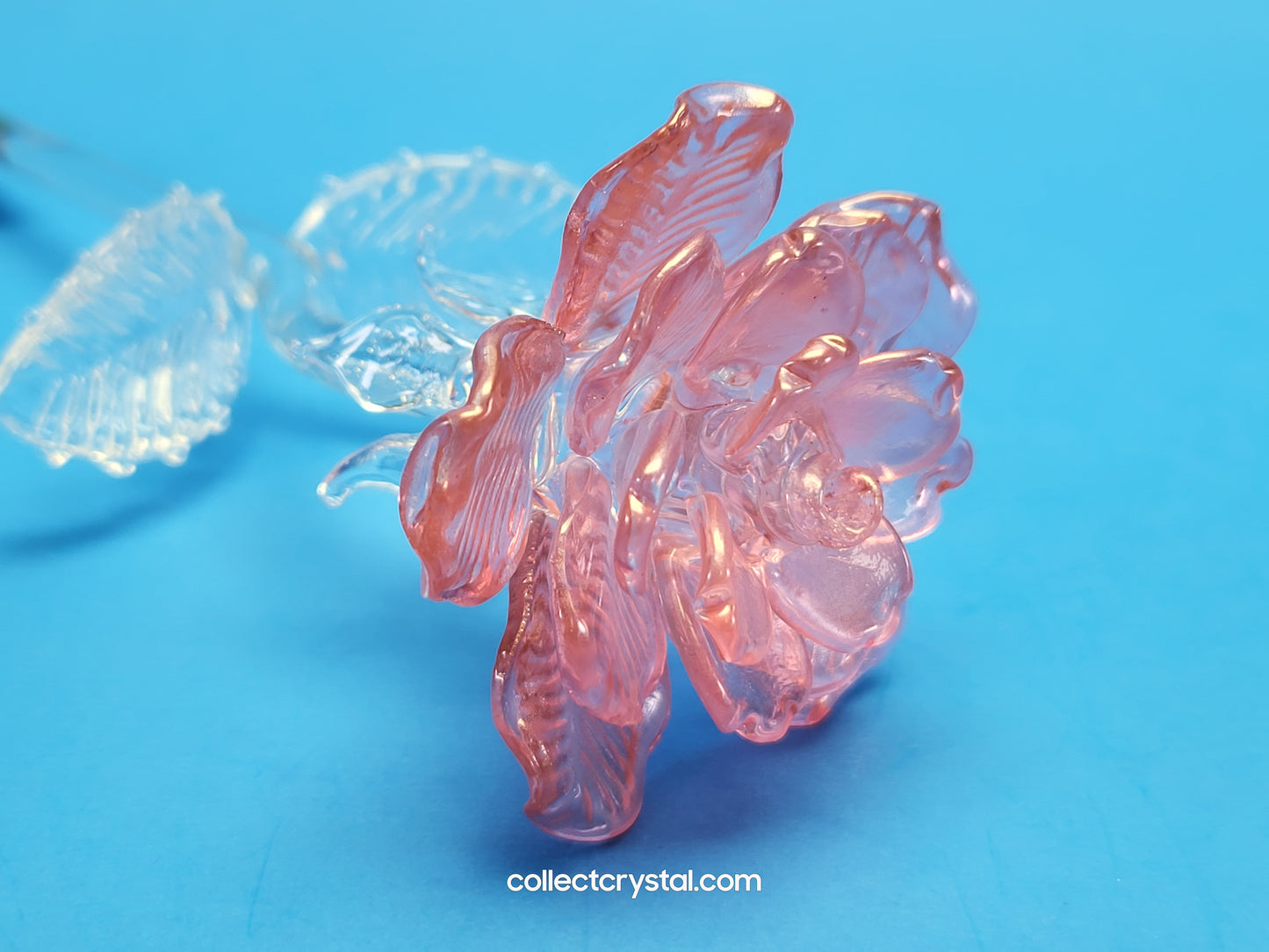 Waterford 2021 Fleurology small pink 8" long stem rose Flower # 1054996