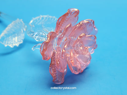 Waterford 2021 Fleurology small pink 8" long stem rose Flower # 1054996