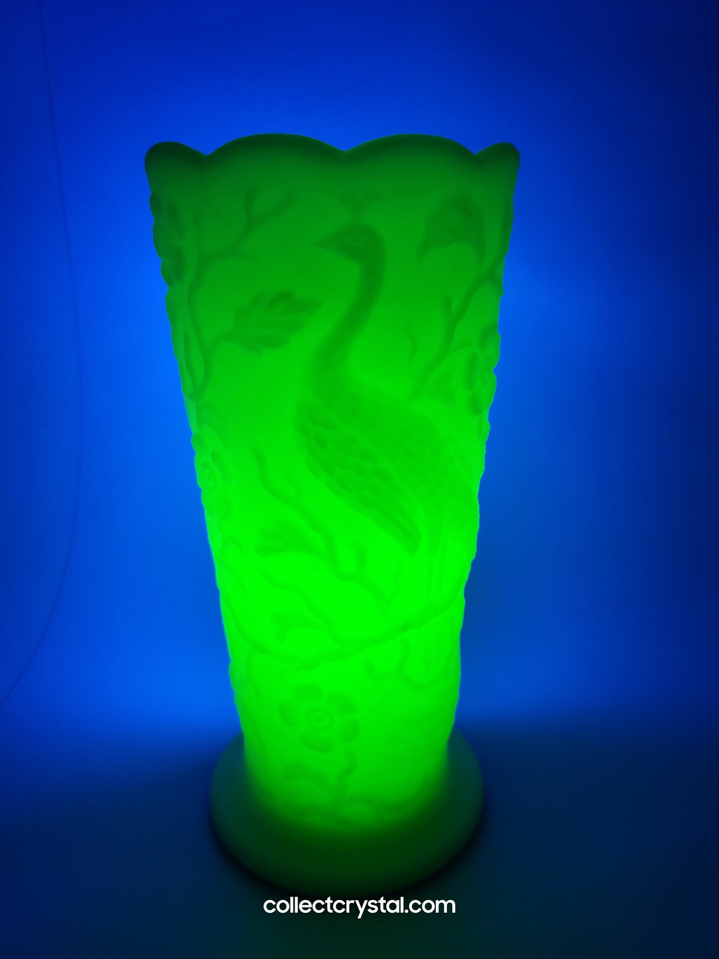 Fenton Uranium Custard Peacock Garden Floral Scalloped Vase