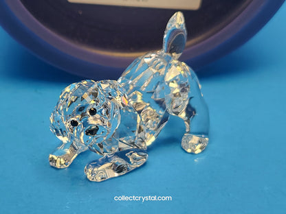 SWAROVSKI LABRADOR PUPPY PLAYING 5408608 / 5723657