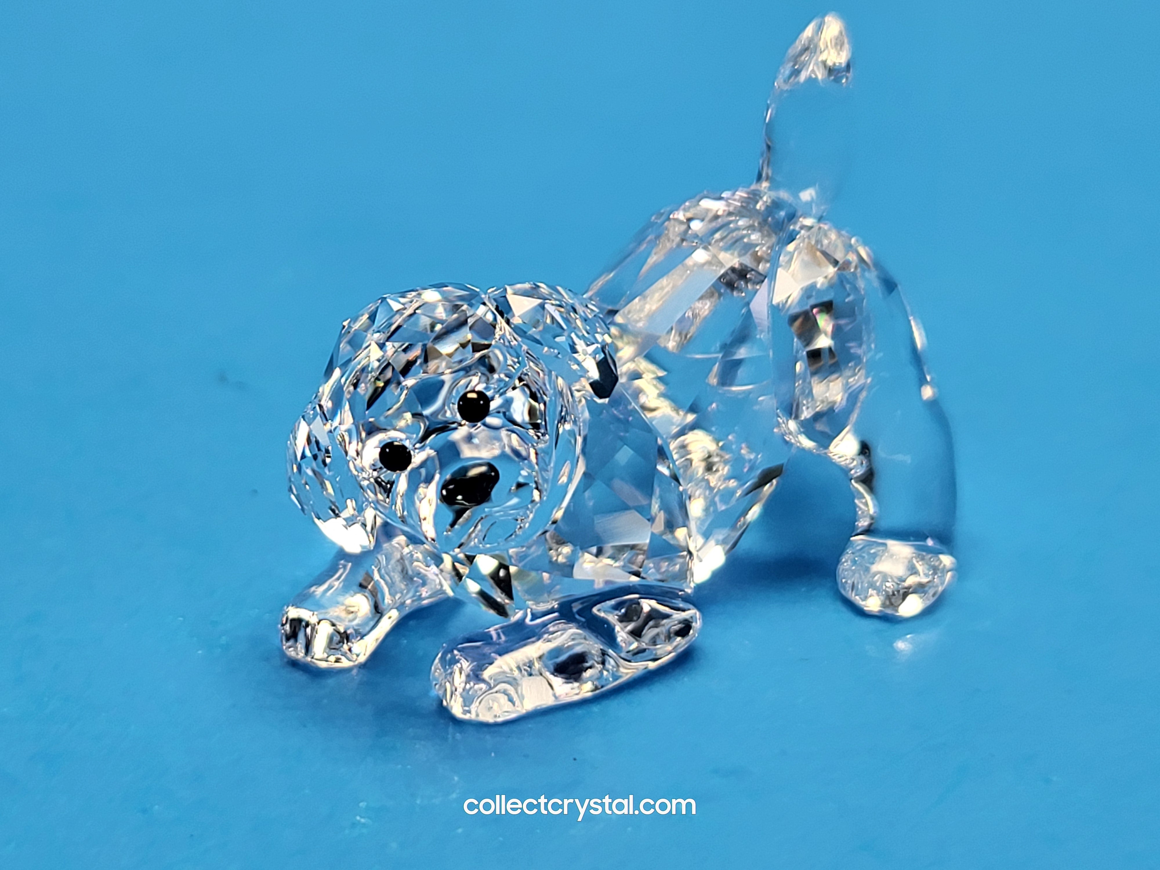 SWAROVSKI LABRADOR PUPPY PLAYING 5408608 / 5723657 – Collect Crystal
