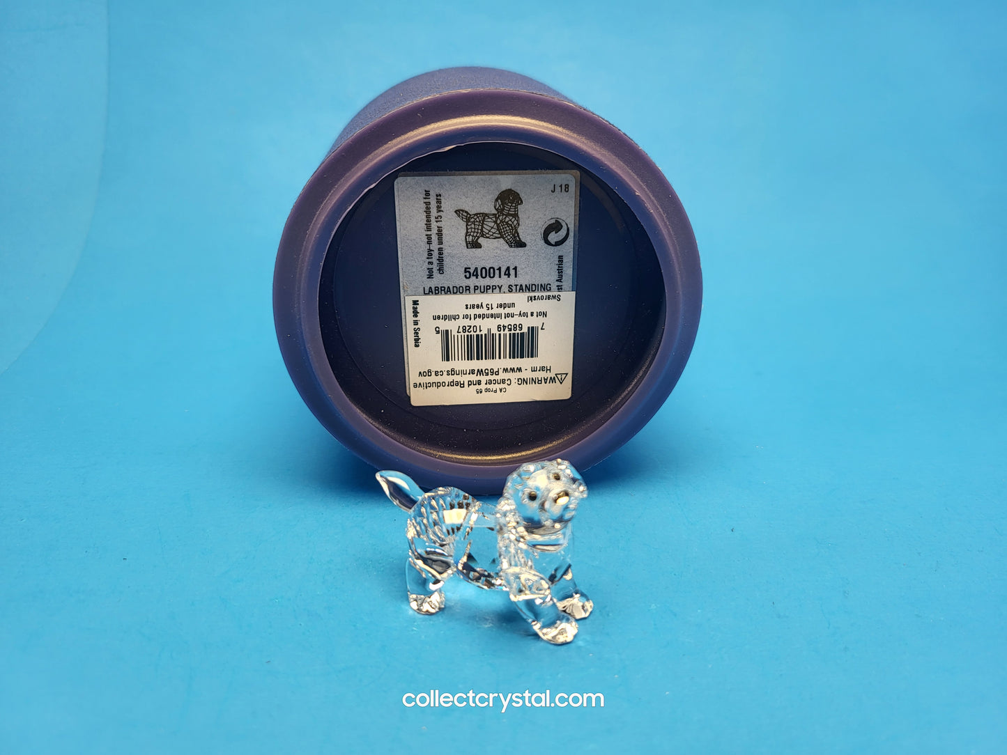 LABRADOR PUPPY STANDING # 5400141