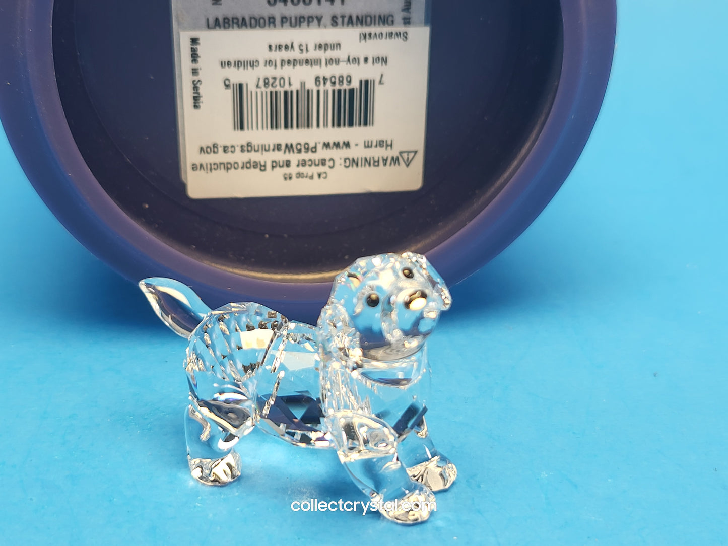 LABRADOR PUPPY STANDING # 5400141