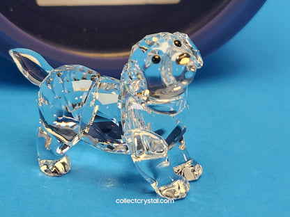 LABRADOR PUPPY STANDING # 5400141