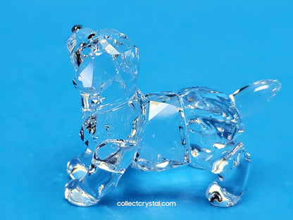 LABRADOR PUPPY STANDING # 5400141