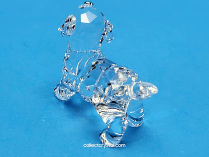 LABRADOR PUPPY STANDING # 5400141