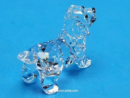 LABRADOR PUPPY STANDING # 5400141