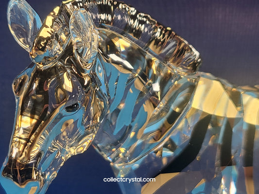 Zebra Amai Elegance of Africa SCS Annual Ed.  5550663 / 5600647 Signed