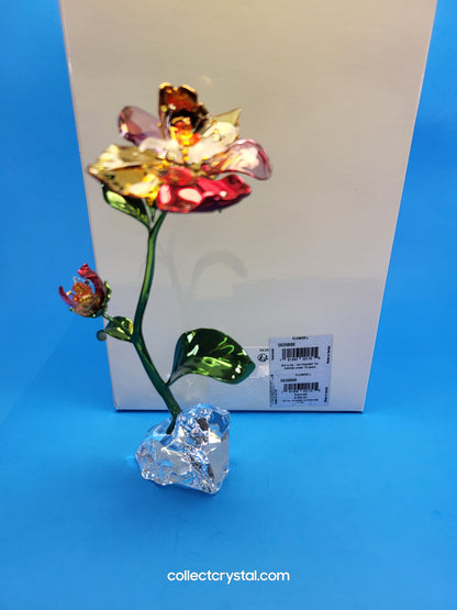 IDYLLIA – FLOWER LARGE NOS # 5639886