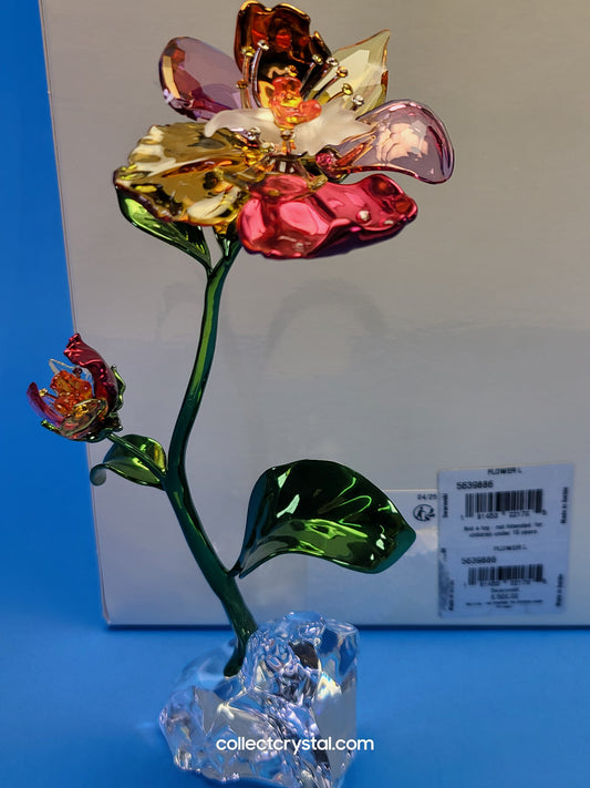 IDYLLIA – FLOWER LARGE NOS # 5639886