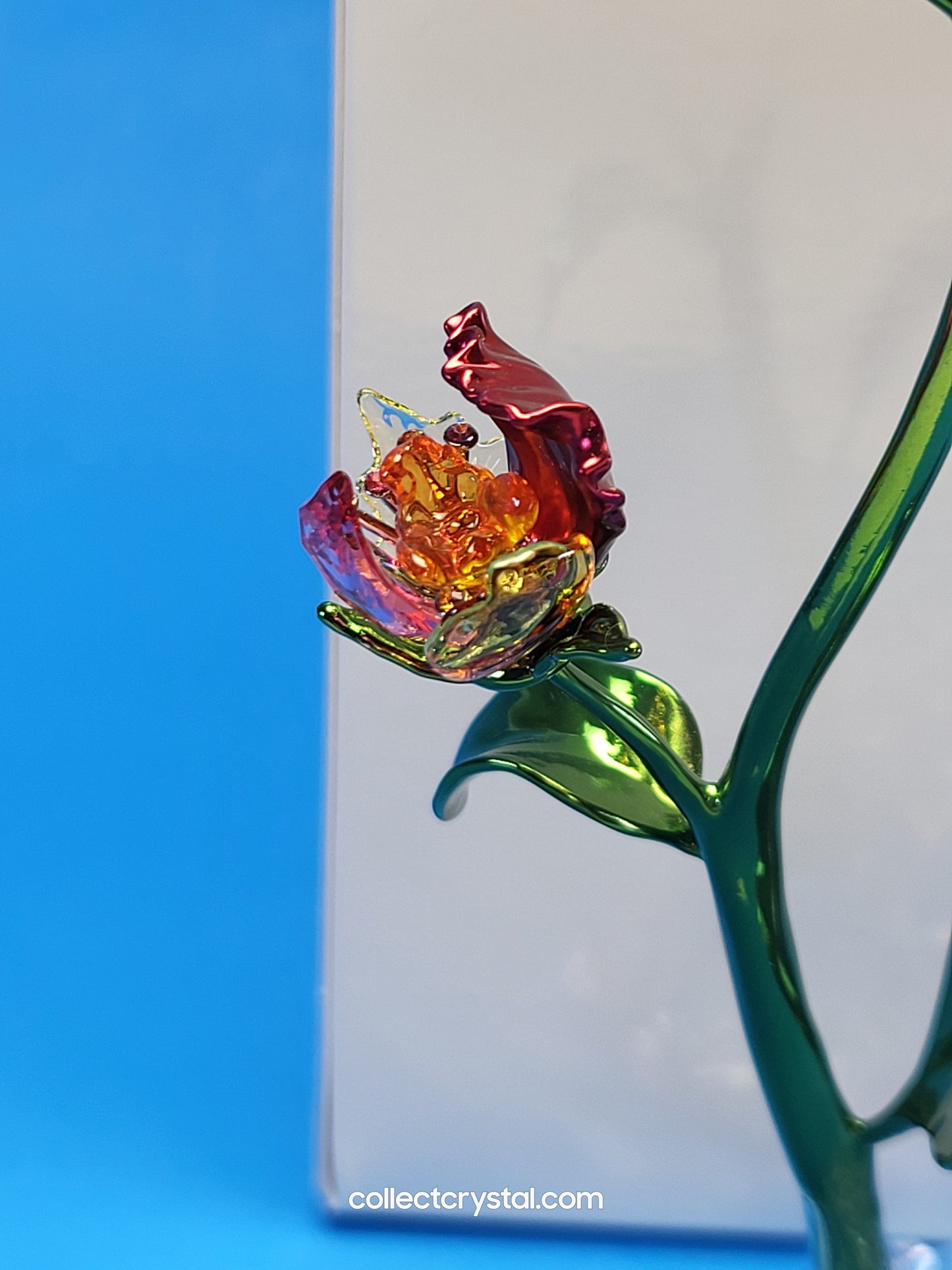 IDYLLIA – FLOWER LARGE NOS # 5639886