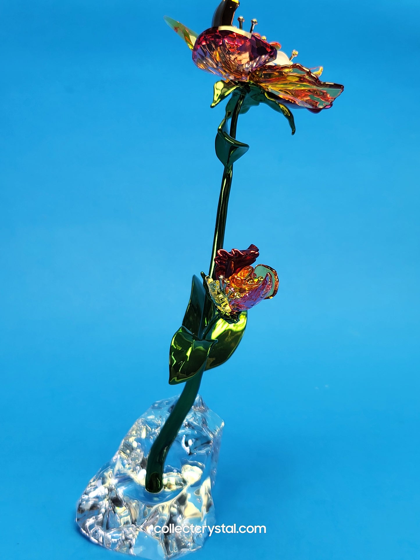 IDYLLIA – FLOWER LARGE NOS # 5639886