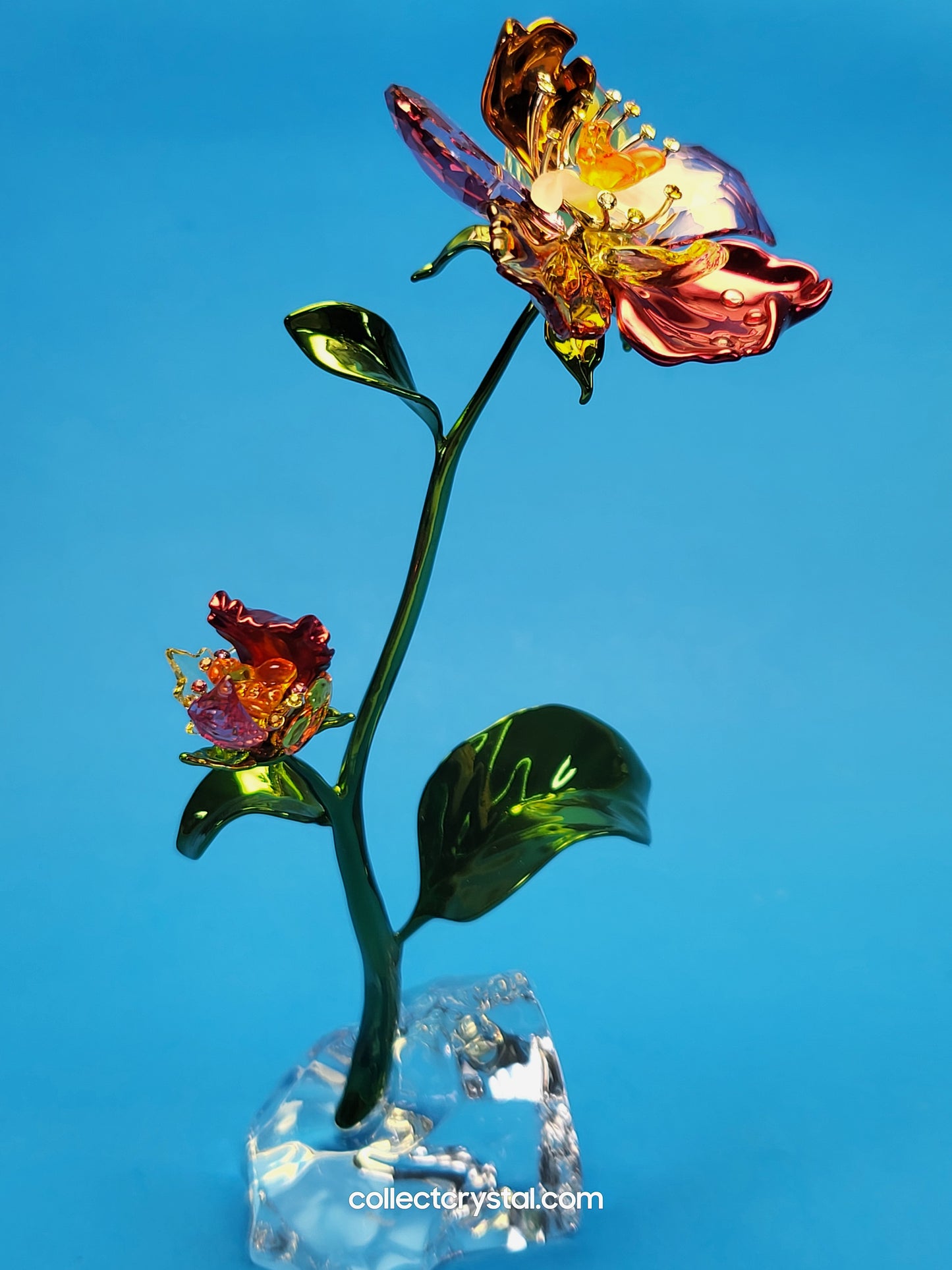IDYLLIA – FLOWER LARGE NOS # 5639886