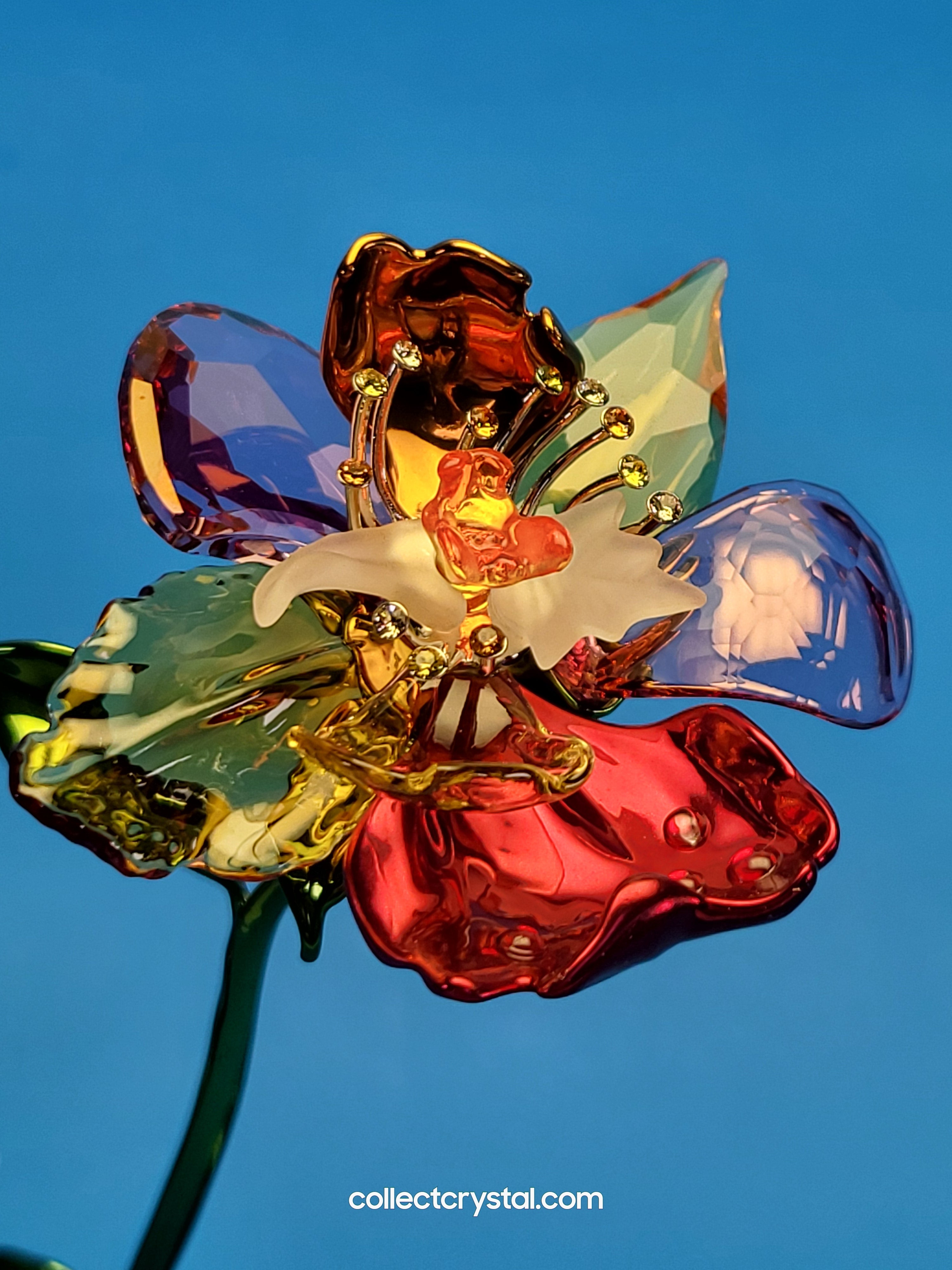 IDYLLIA – FLOWER LARGE NOS # 5639886 – Collect Crystal