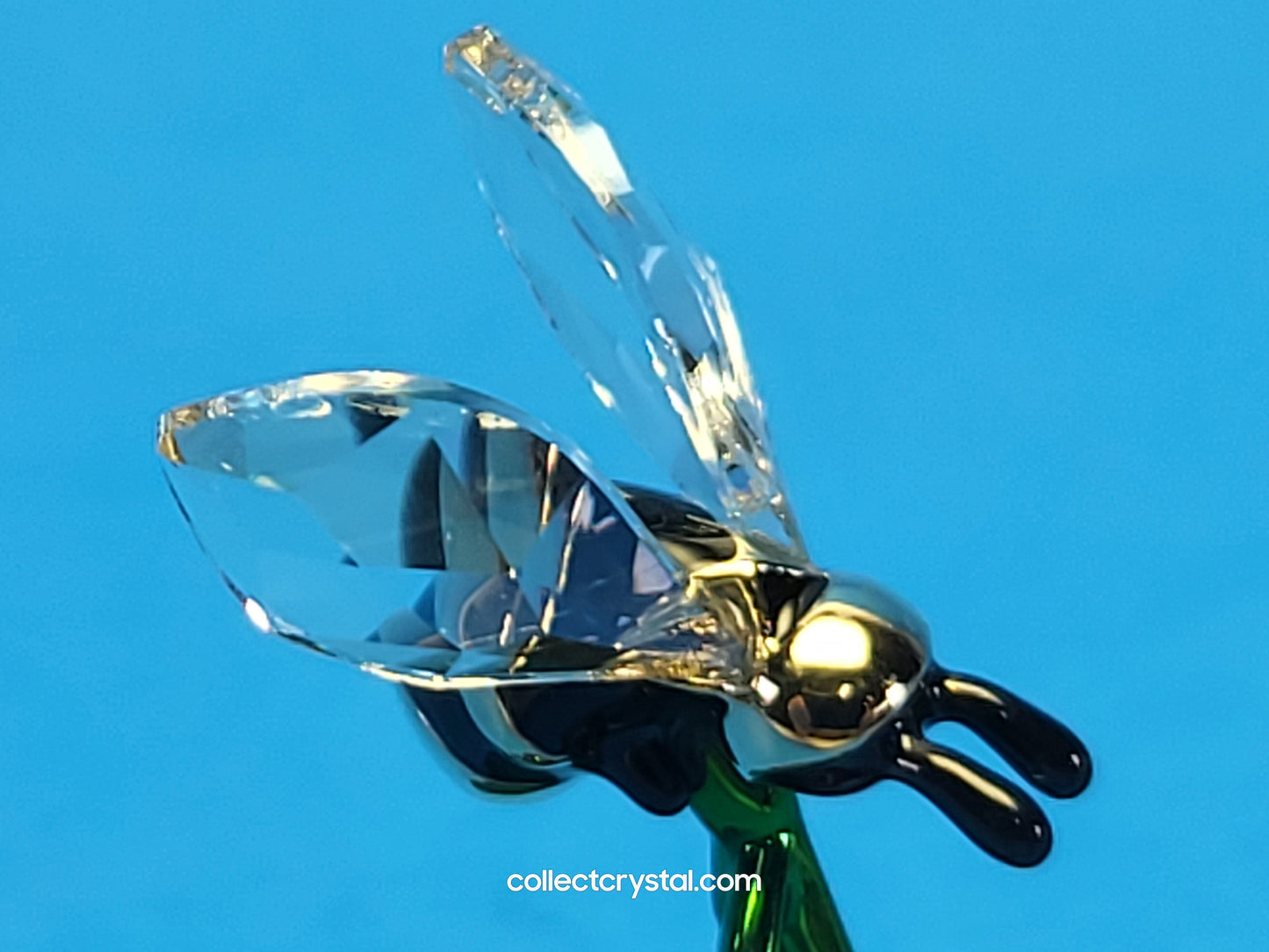 IDYLLIA – BEE AND CHERRY 5667550