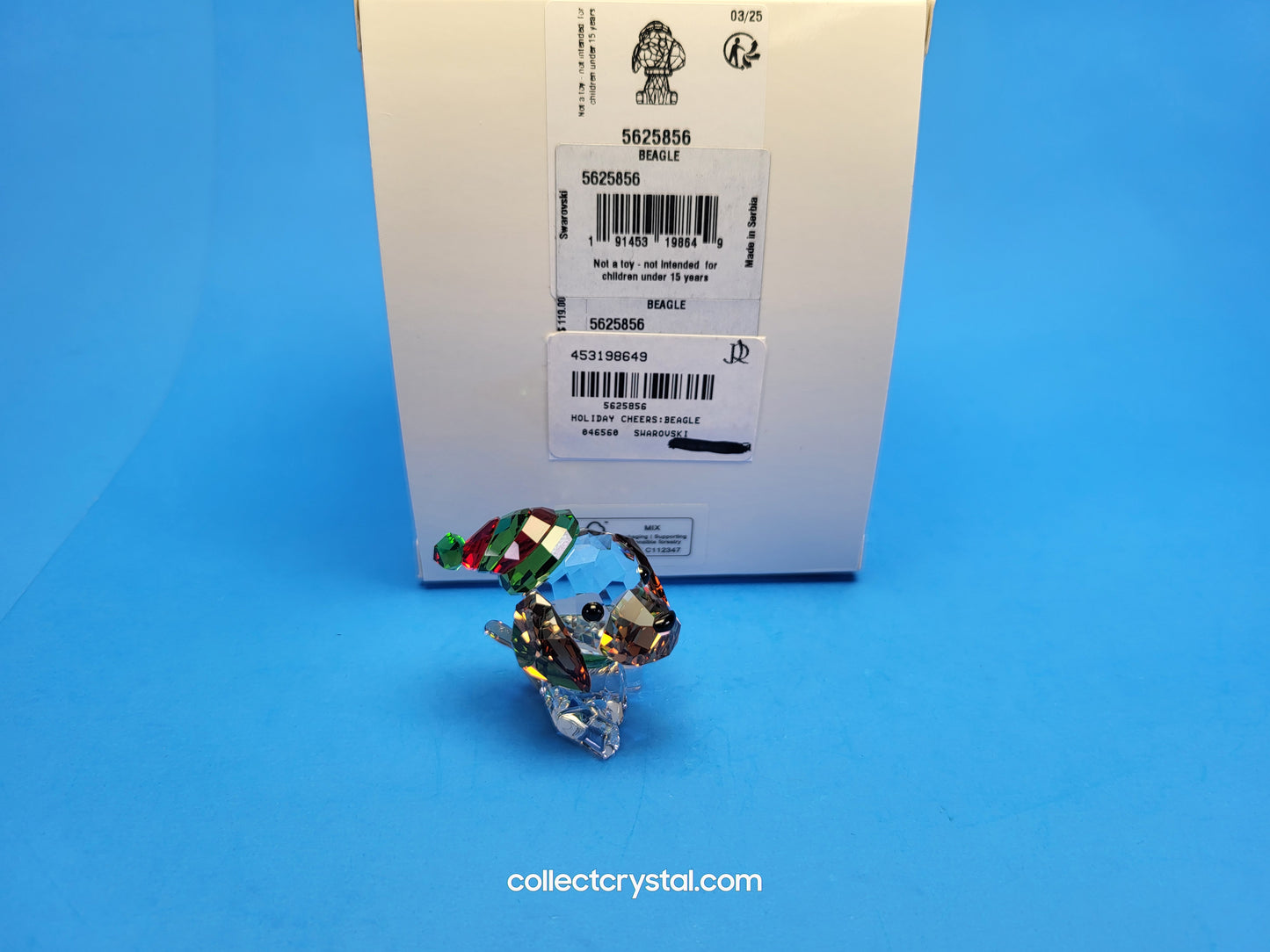 HOLIDAY CHEERS – BEAGLE DOG # 5625856