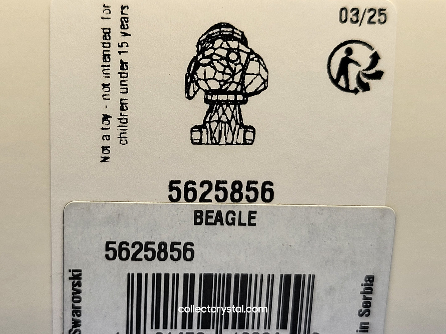 HOLIDAY CHEERS – BEAGLE DOG # 5625856