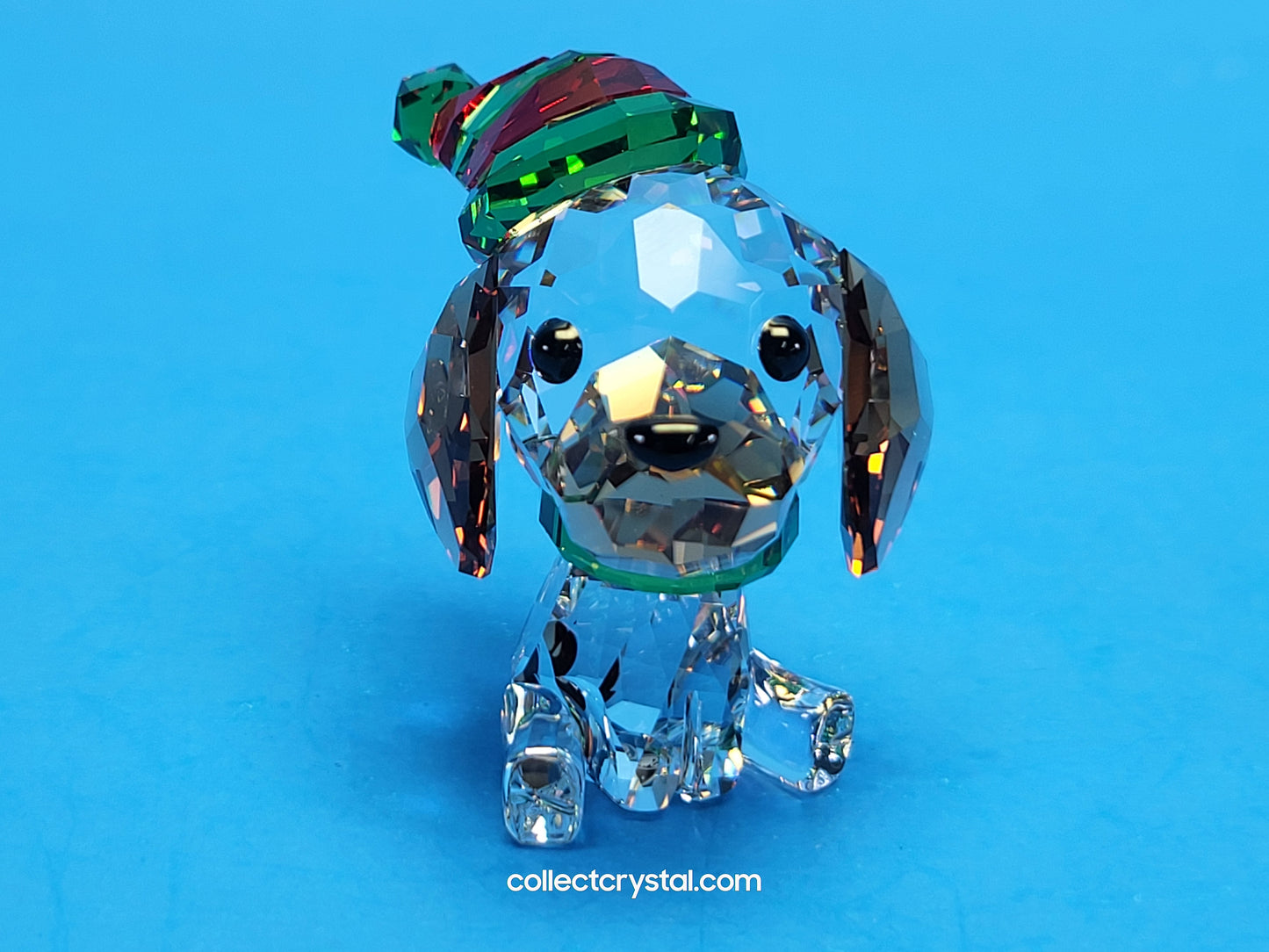 HOLIDAY CHEERS – BEAGLE DOG # 5625856