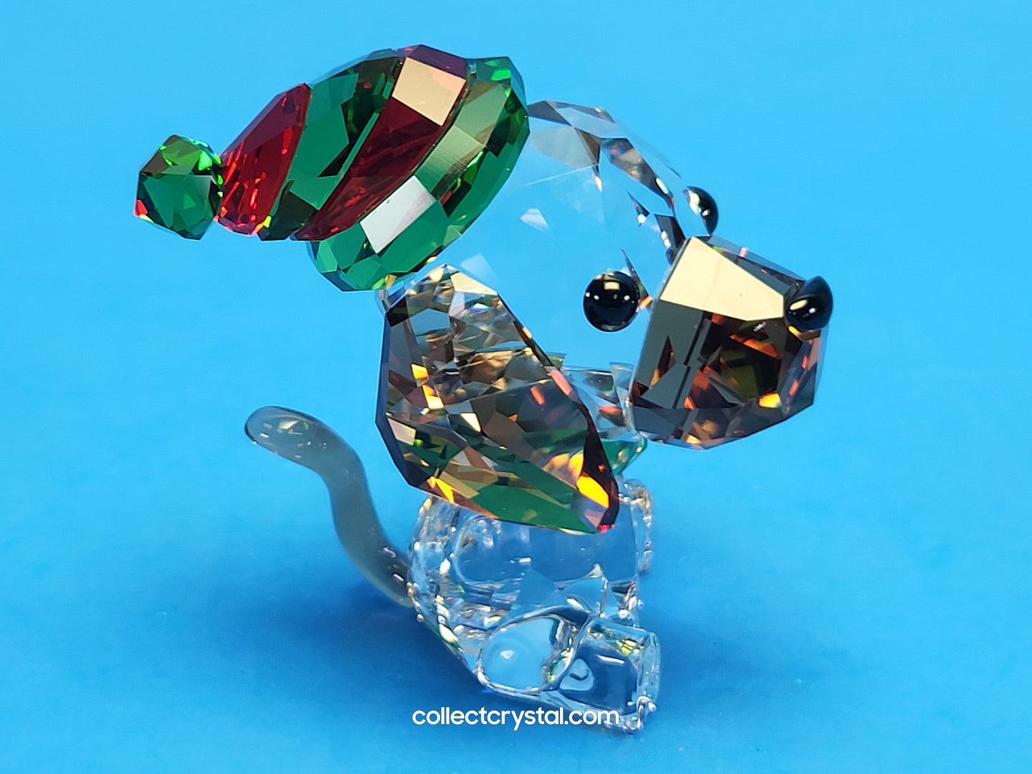HOLIDAY CHEERS – BEAGLE DOG # 5625856