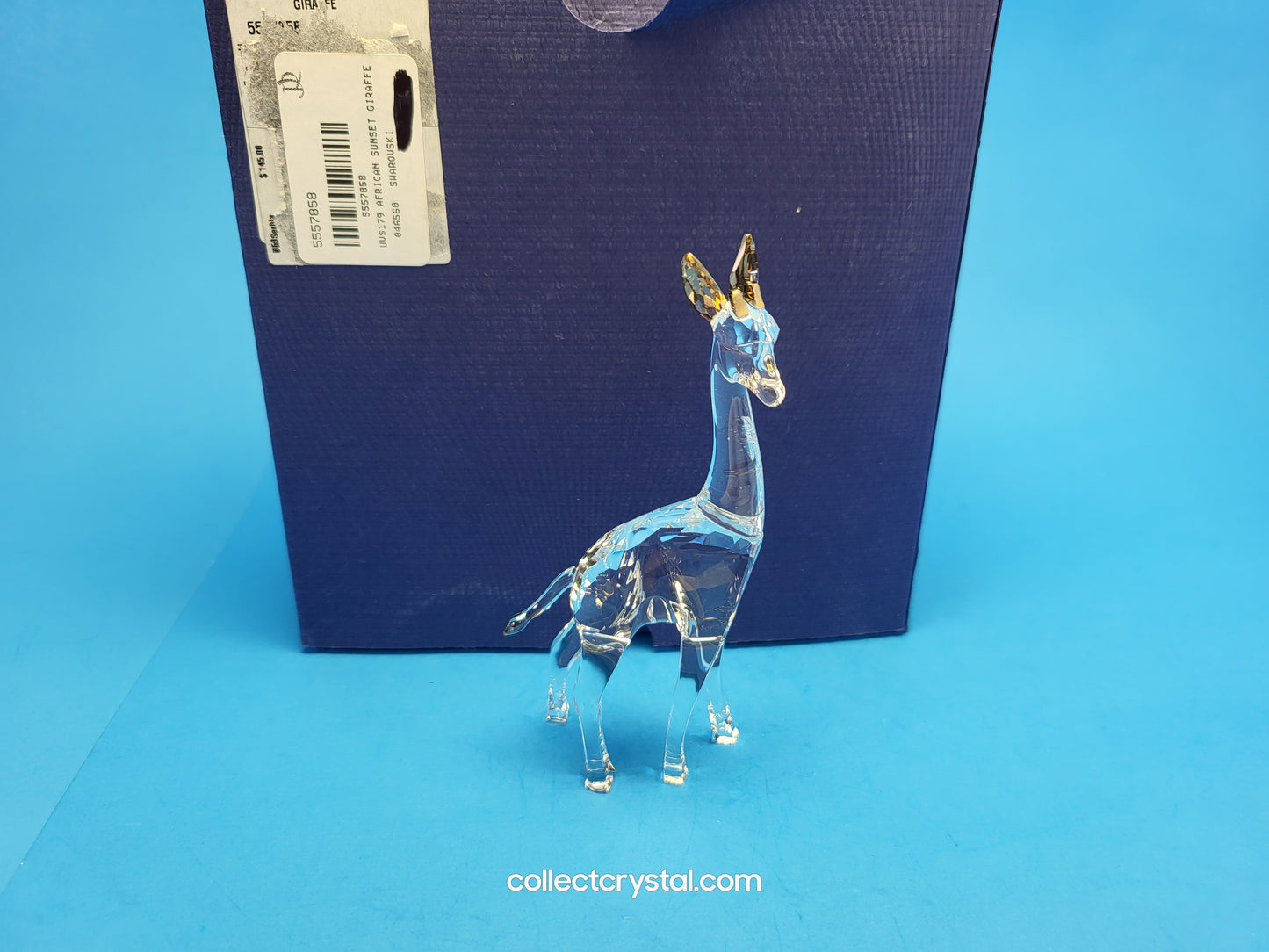 AFRICAN SUNSET – GIRAFFE NOHEA 5557858