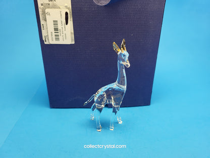 AFRICAN SUNSET – GIRAFFE NOHEA 5557858