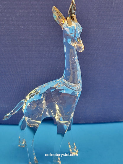 AFRICAN SUNSET – GIRAFFE NOHEA 5557858