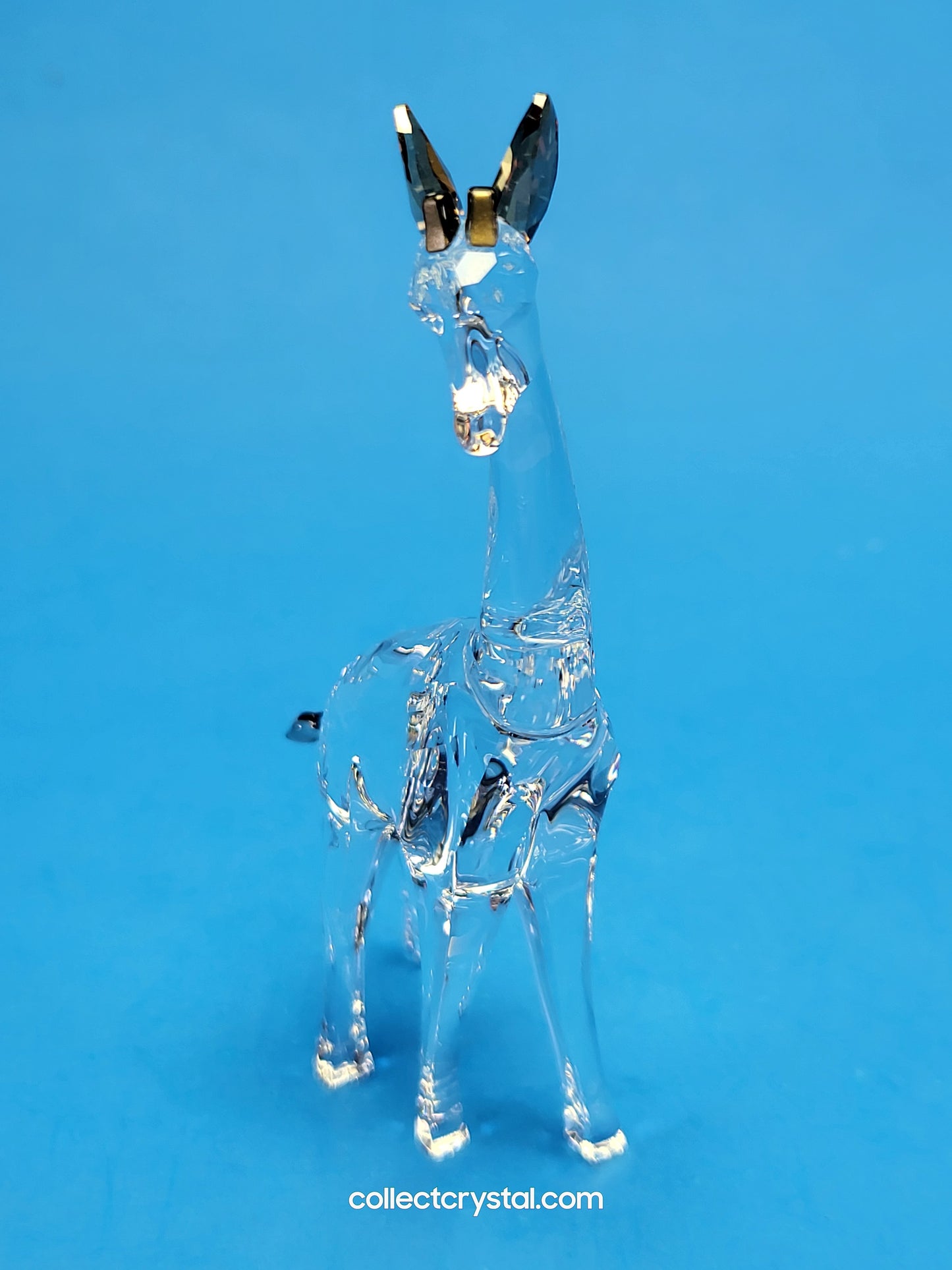 AFRICAN SUNSET – GIRAFFE NOHEA 5557858