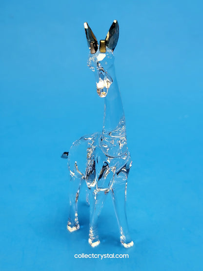 AFRICAN SUNSET – GIRAFFE NOHEA 5557858