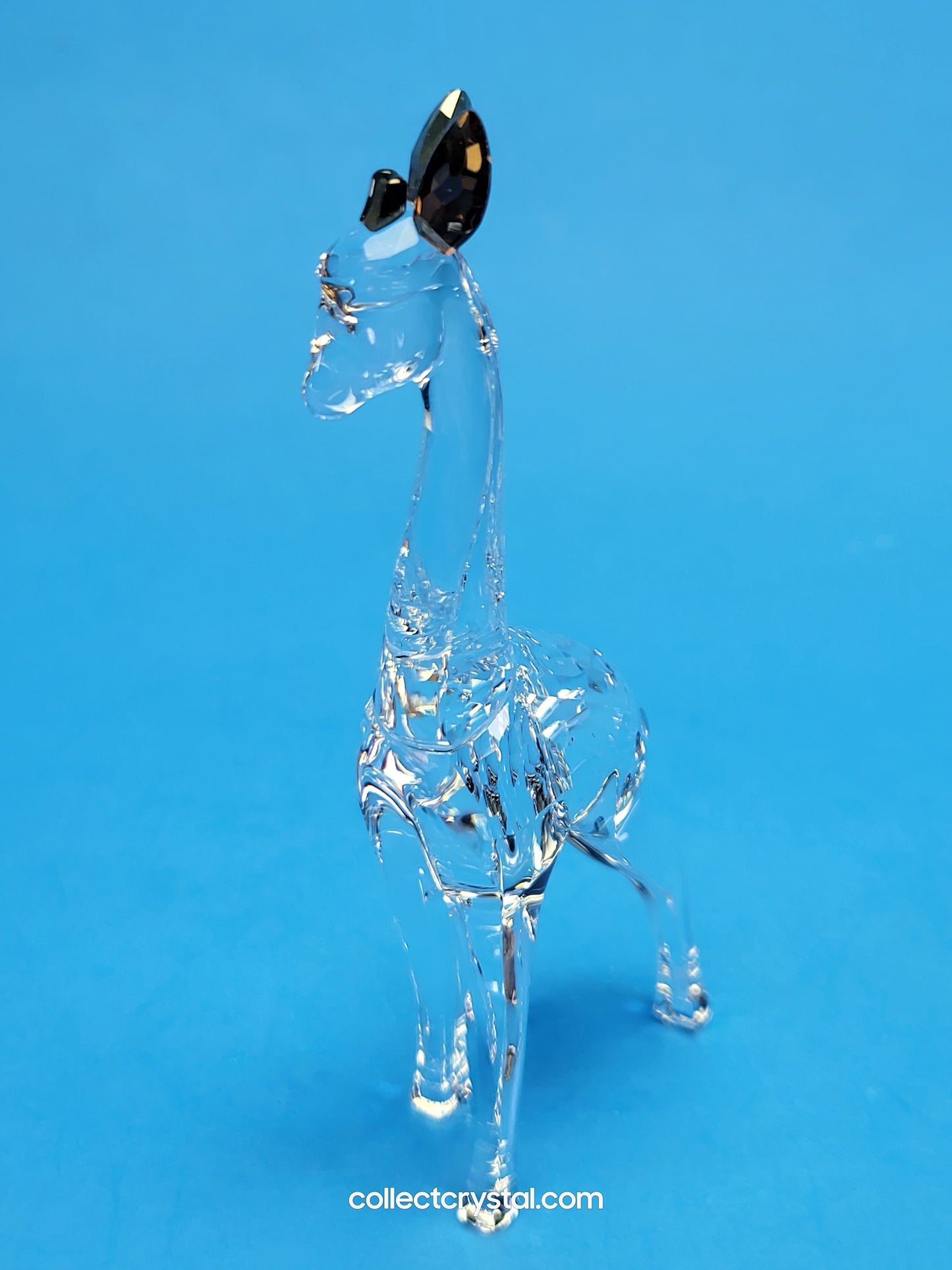 AFRICAN SUNSET – GIRAFFE NOHEA 5557858