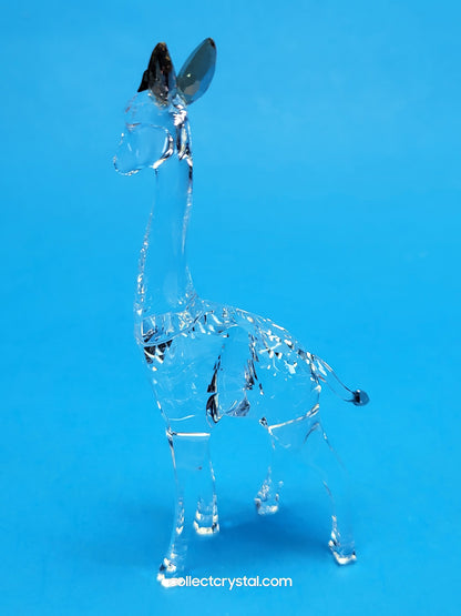 AFRICAN SUNSET – GIRAFFE NOHEA 5557858