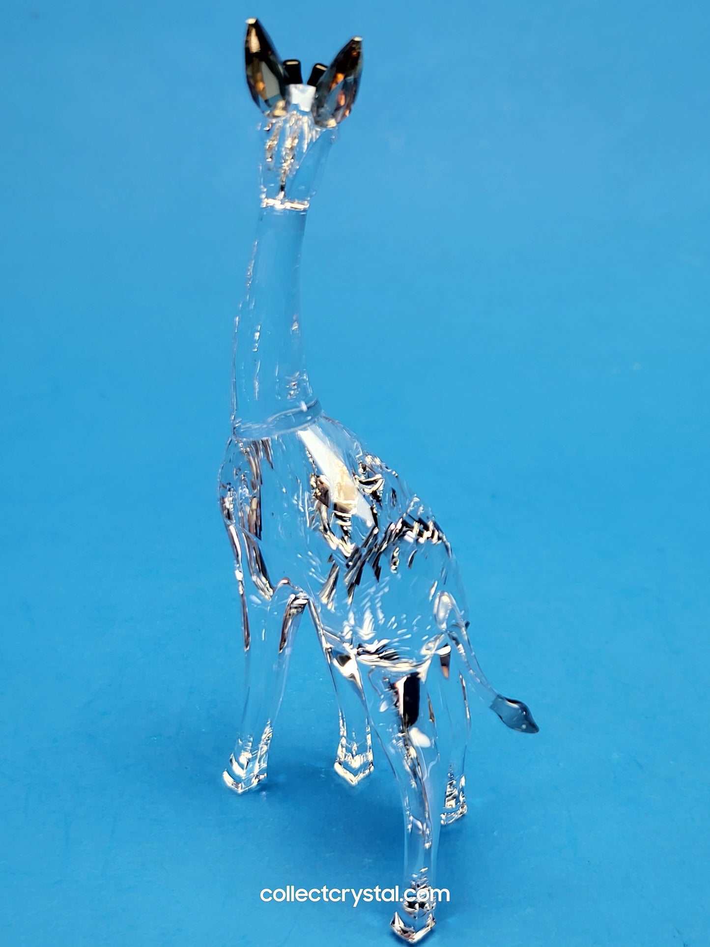 AFRICAN SUNSET – GIRAFFE NOHEA 5557858