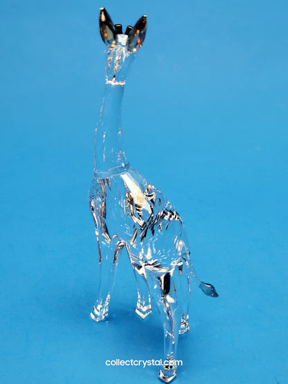 AFRICAN SUNSET – GIRAFFE NOHEA 5557858