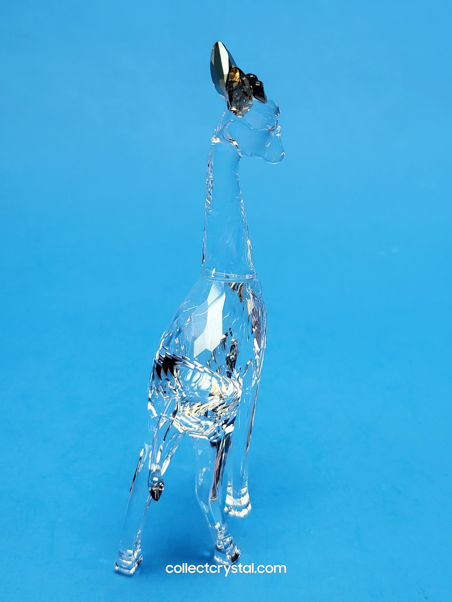 AFRICAN SUNSET – GIRAFFE NOHEA 5557858