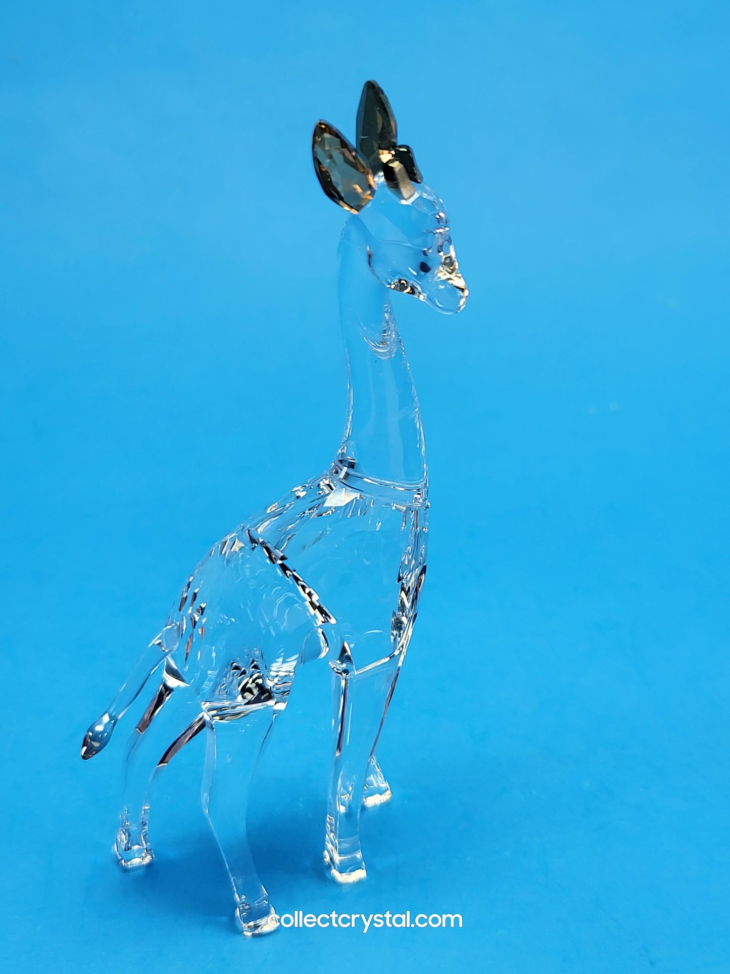 AFRICAN SUNSET – GIRAFFE NOHEA 5557858